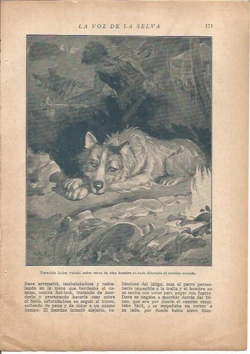 LAMINA 27170: La voz de la selva, ilustracion de Llaverias