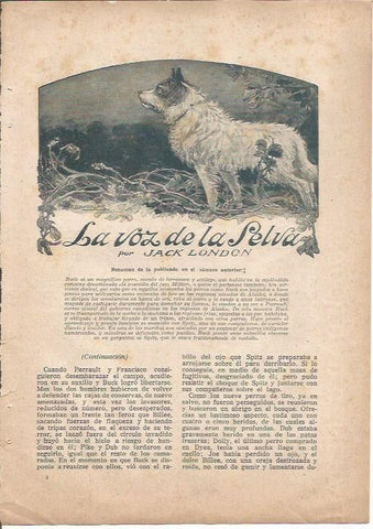 LAMINA 27167: Ilustracion de Llaverias