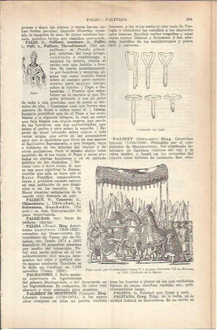 LAMINA ESPASA 37738: Palio usado por Carlos V