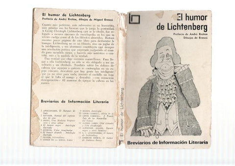 El humor de Lichtenberd