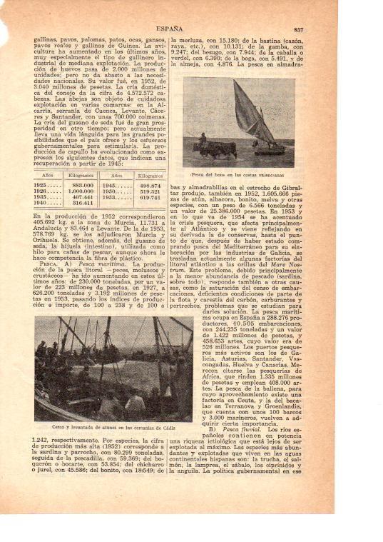 LAMINA 39011: Pesca del Bou en Valencia