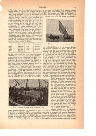 LAMINA 39011: Pesca del Bou en Valencia