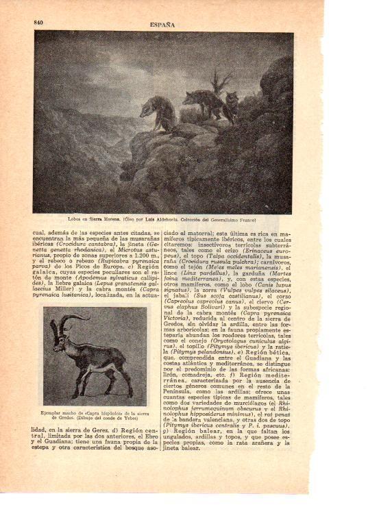 LAMINA 39004: Lobos en Sierra Leona, por Luis Aldehuela