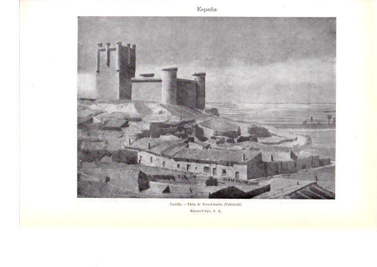 LAMINA 39025: Castillo de Torrelobaton, Valladolid