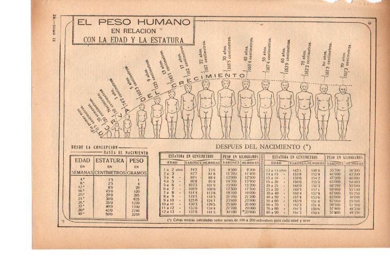 LAMINA 39190: El peso humano