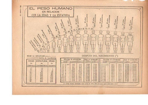 LAMINA 39190: El peso humano