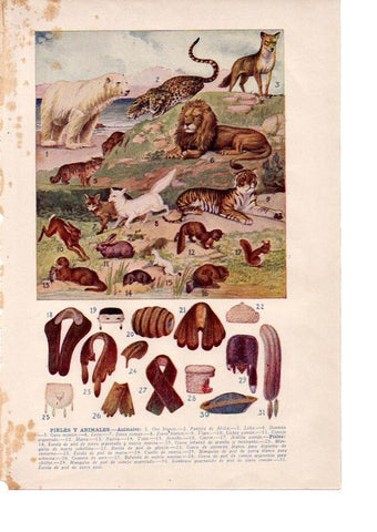 LAMINA 39194: Pieles y animales
