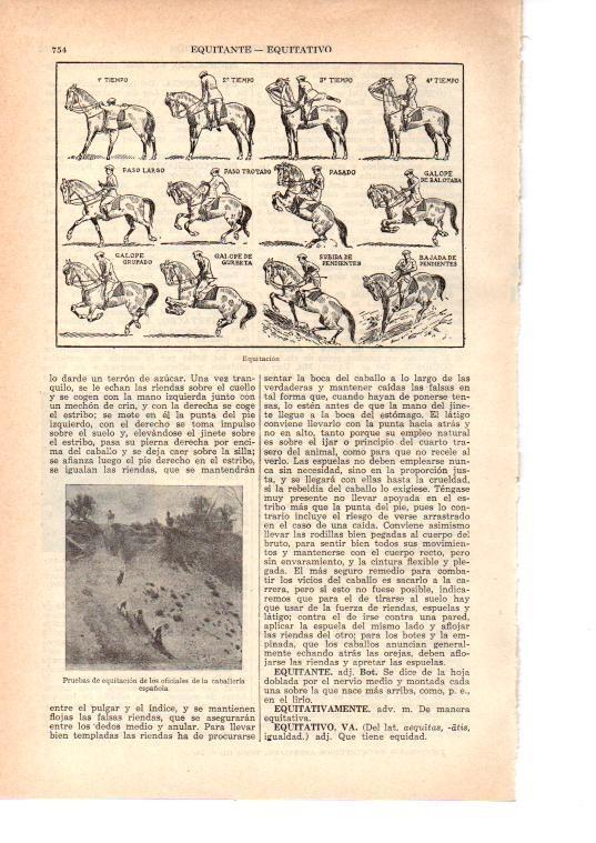LAMINA 38987: Equitacion