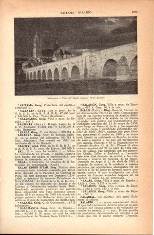 LAMINA 38839: Puente romano de Salamanca