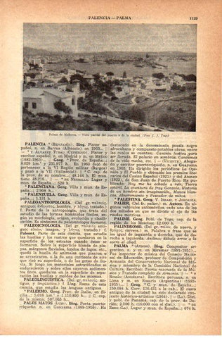 LAMINA 38799: Puerto de Palma de Mallorca