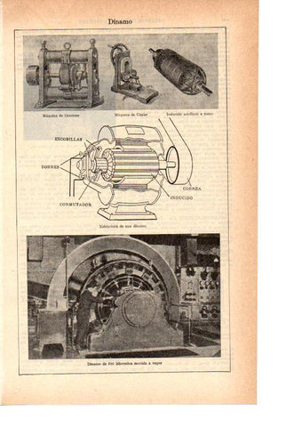 LAMINA 38923: Dinamo