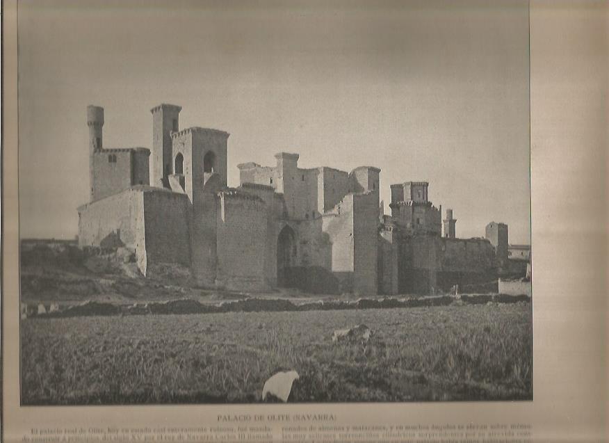 LAMINA V02795: Palacio de Olite, Navarra