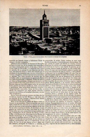 LAMINA V07553: Vista de la ciudad de Tunez
