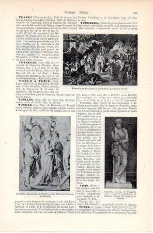 LAMINA V07655: Tusnelda