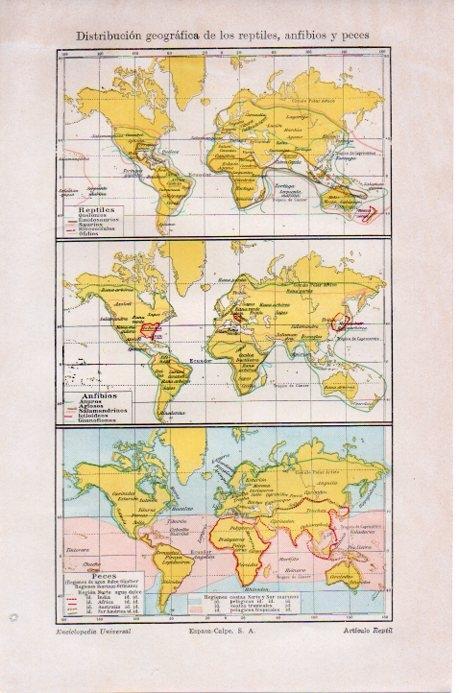 LAMINA V07930: Mapa de reptiles, anfibios y peces en el mundo