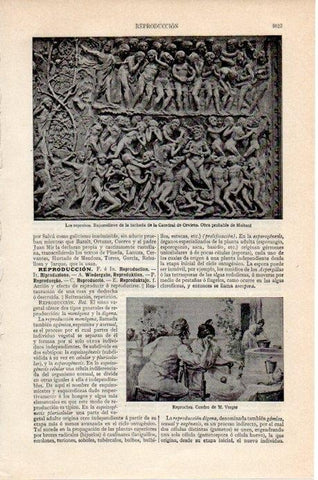 LAMINA V07929: Bajorrelieve de la Catedral de Orvieto