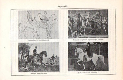 LAMINA V08028: Equitacion