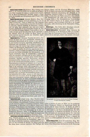 LAMINA V07826: El cantante Reichmann por Trubner