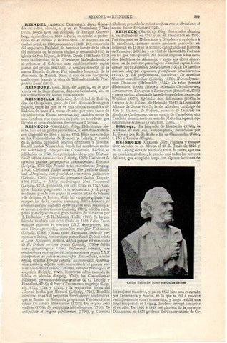 LAMINA V07837: Busto de Reinecke