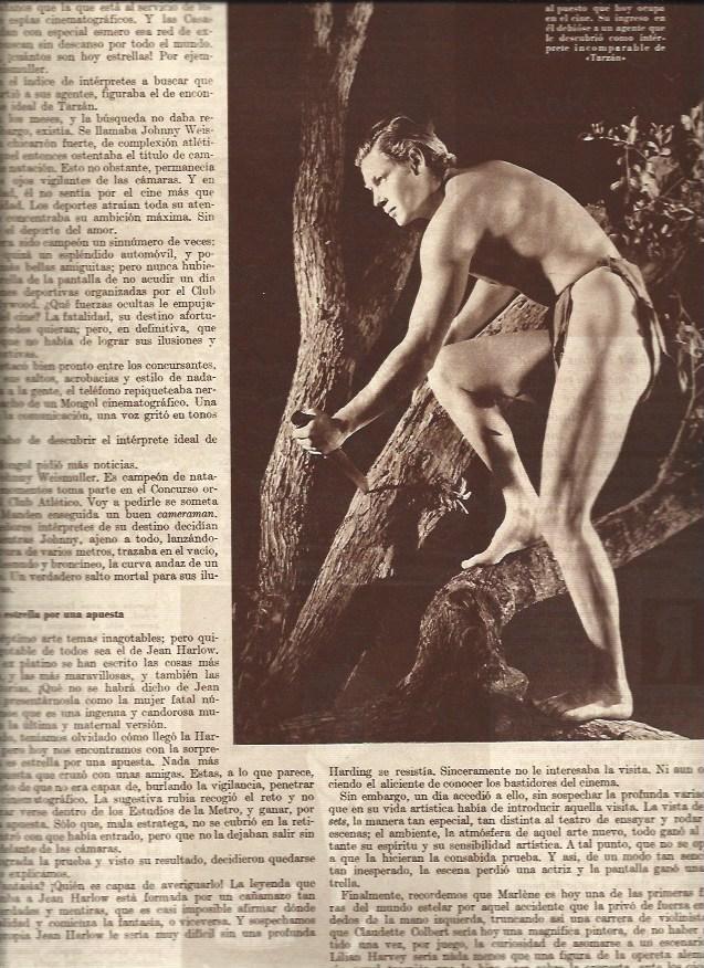 LAMINA 31121: Johnny Weismuller en Tarzan