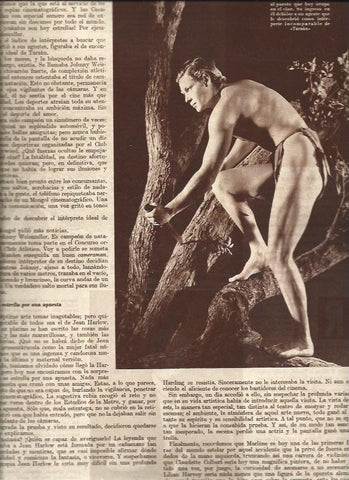 LAMINA 31121: Johnny Weismuller en Tarzan