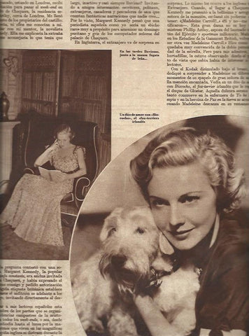 LAMINA 30608: Madeleine Carroll y su perro Bizcocho