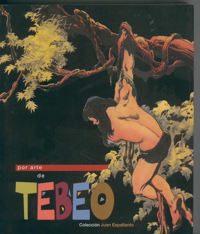 Museo : Libro catalogo Por Arte de Tebeo de Juan Espallardo