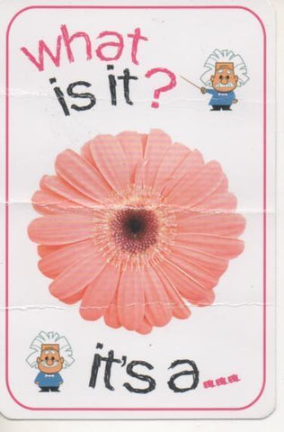 Cromo E001695: Cards. What is it?. Flower