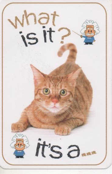 Cromo E001690: Cards. What is it? Cat