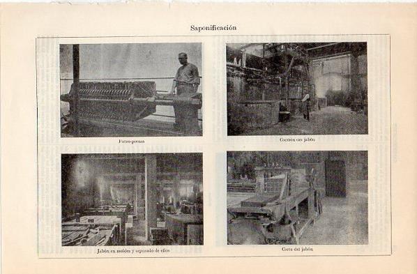 LAMINA V11309: Saponificacion