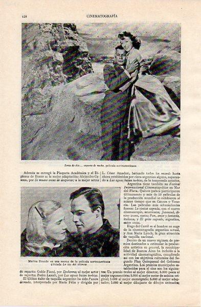 LAMINA V10908: Marlon Brando en La ley del silencio
