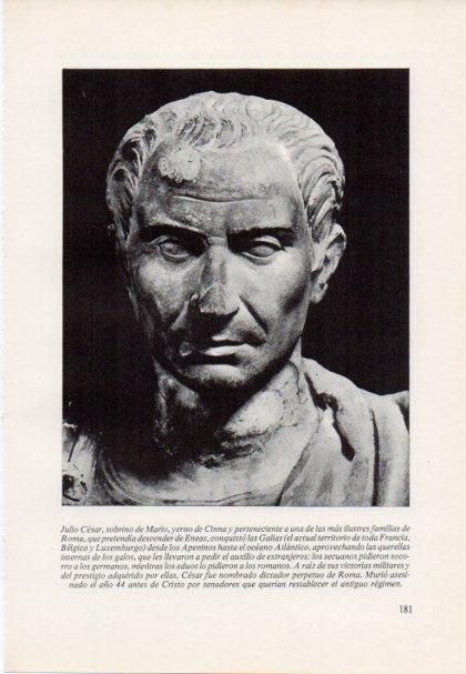 LAMINA V15411: Busto de Julio Cesar