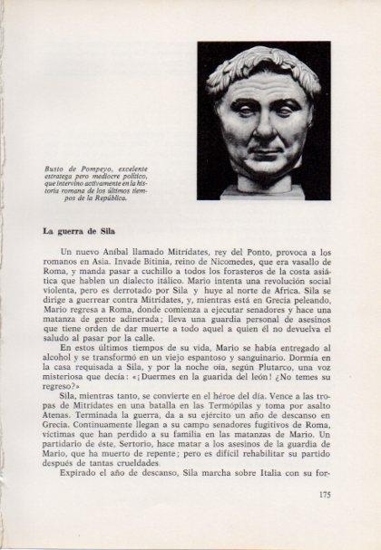 LAMINA V15408: Busto de Pompeyo