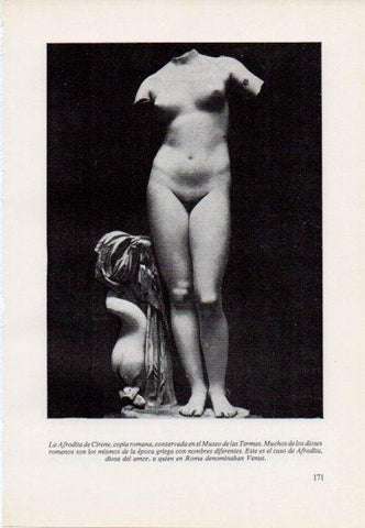 LAMINA V15406: La afrodita de Cirene