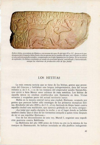 LAMINA V15354: Relieve hitita de Malatya