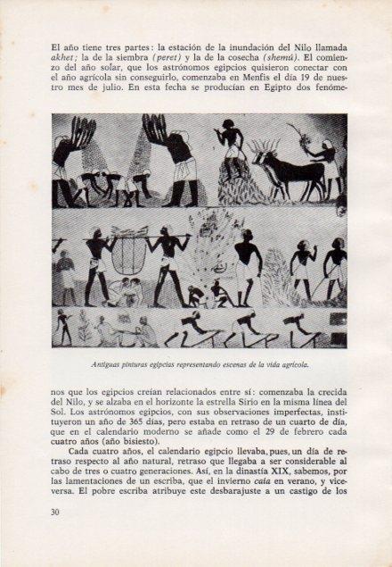 LAMINA V15348: Pinturas egipcias de la vida agricola