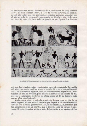 LAMINA V15348: Pinturas egipcias de la vida agricola