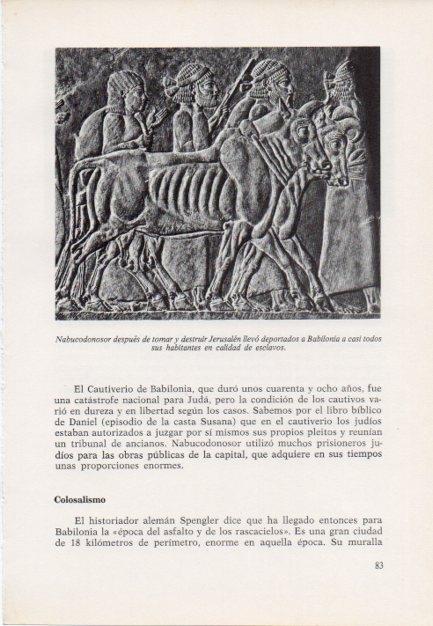 LAMINA V15365: Relieve de Nabucodonosor