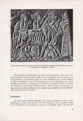 LAMINA V15365: Relieve de Nabucodonosor