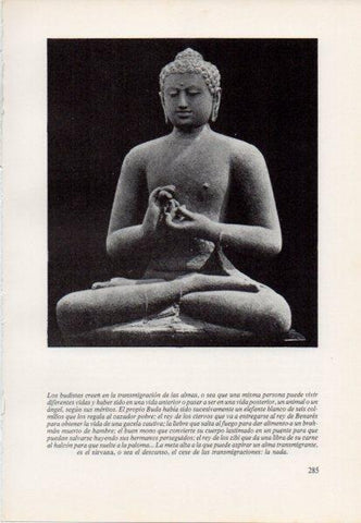 LAMINA V15455: Buda