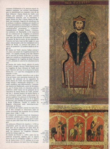 LAMINA V15251: Frontal d'altar dedicat a Sant Marti per Johannes