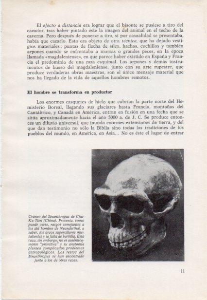 LAMINA V15340: Craneo del Sinanthropus de Chu-Ku-Tien, China