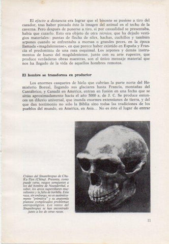 LAMINA V15340: Craneo del Sinanthropus de Chu-Ku-Tien, China