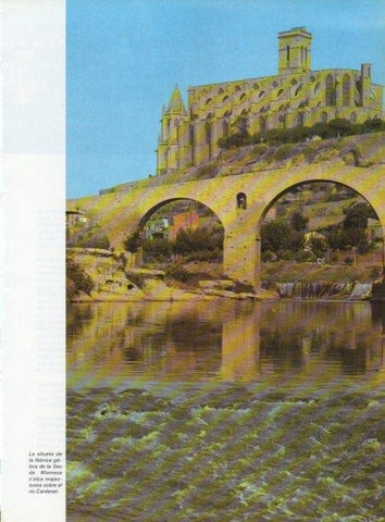 LAMINA V15699: Vista de la Seu de Manresa