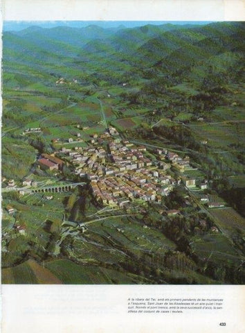 LAMINA V15781: Vista de Sant Joan de les Abadesses