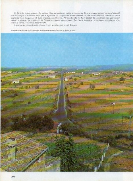 LAMINA V15788: Panoramica del pla de Girona
