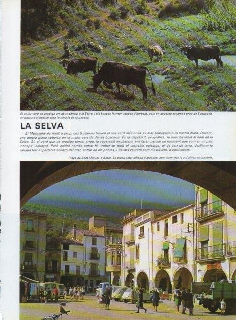 LAMINA V15731: Plaça de Sant Miquel, Amer
