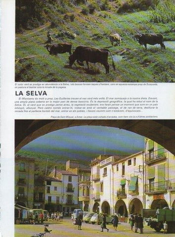 LAMINA V15731: Plaça de Sant Miquel, Amer
