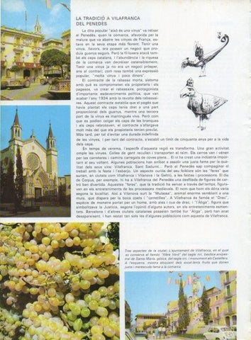 LAMINA V15647: Ajuntament de Vilafranca del Penedes
