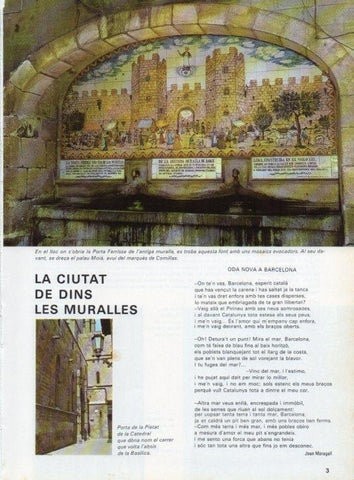 LAMINA V15593: Font al carrer Porta Ferrissa de Barcelona